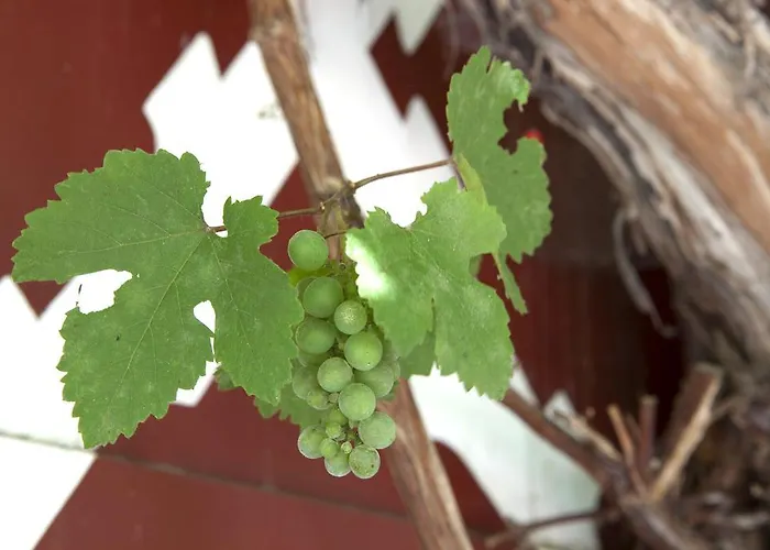 Gasthuis Blaue Quelle