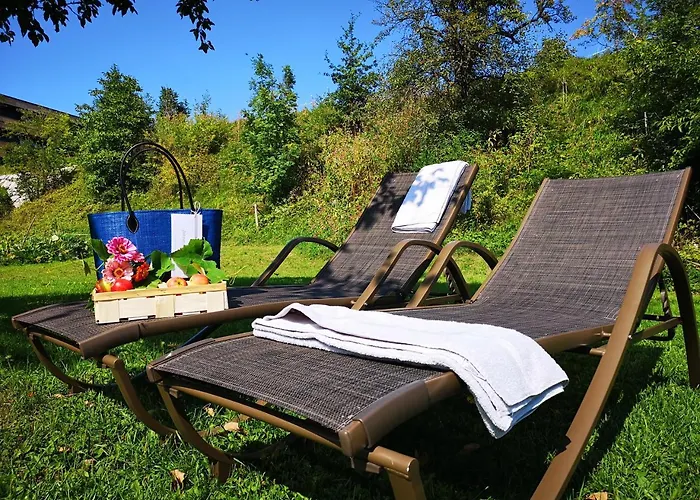 Gasthuis Blaue Quelle 3*