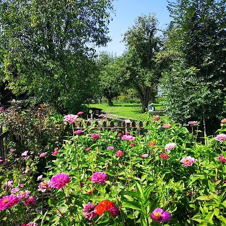 Blaue Quelle Πανσιόν Erl