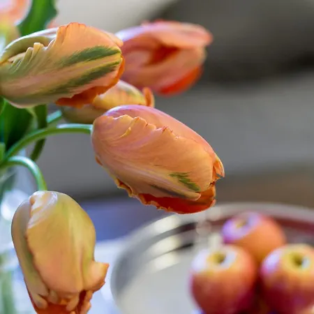 Blaue Quelle Эрль