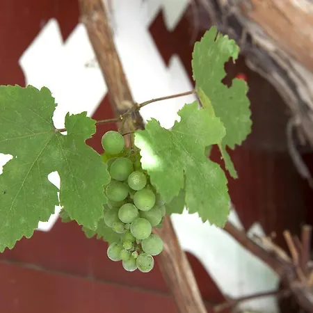 Гостевой дом Blaue Quelle